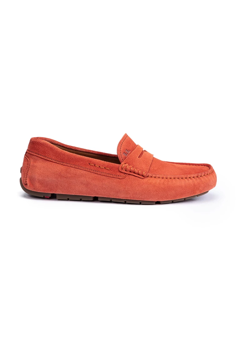 Lloyd ELJOS Art. 14-431-24 Top Angebot