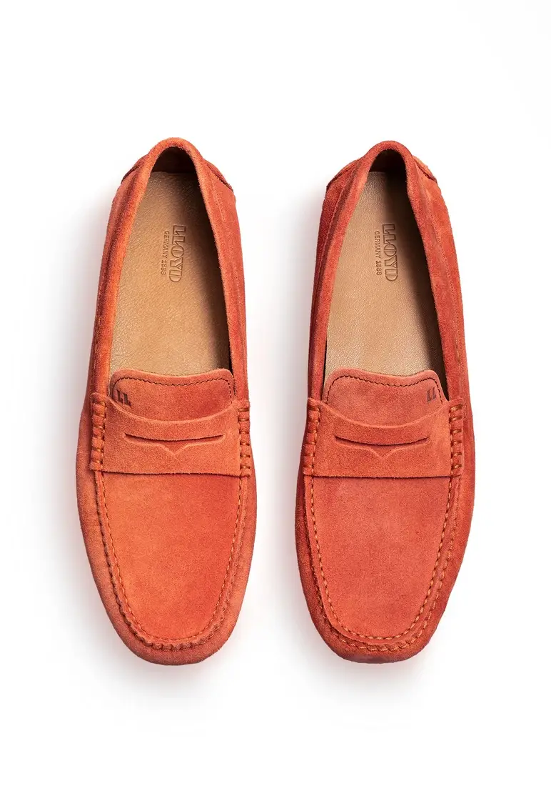 Lloyd ELJOS Art. 14-431-24 Top Angebot