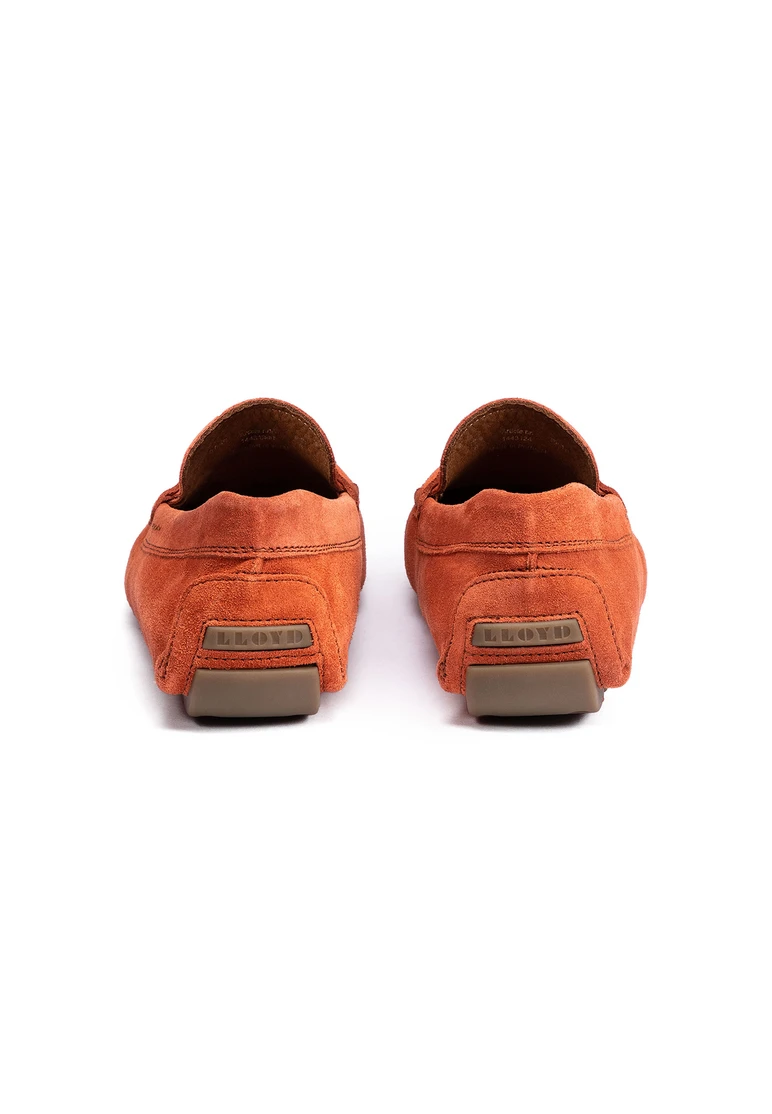 Lloyd ELJOS Art. 14-431-24 Top Angebot