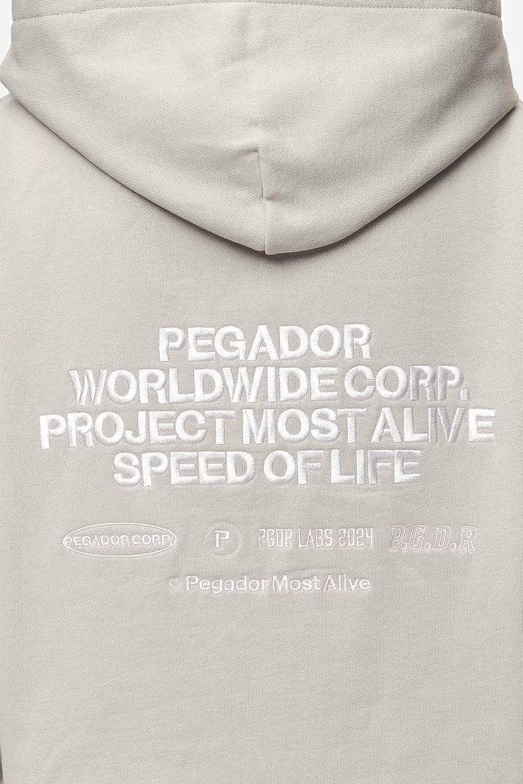 Pegador Sora Oversized Hoodie Washed Moon Grey Neueste Stile