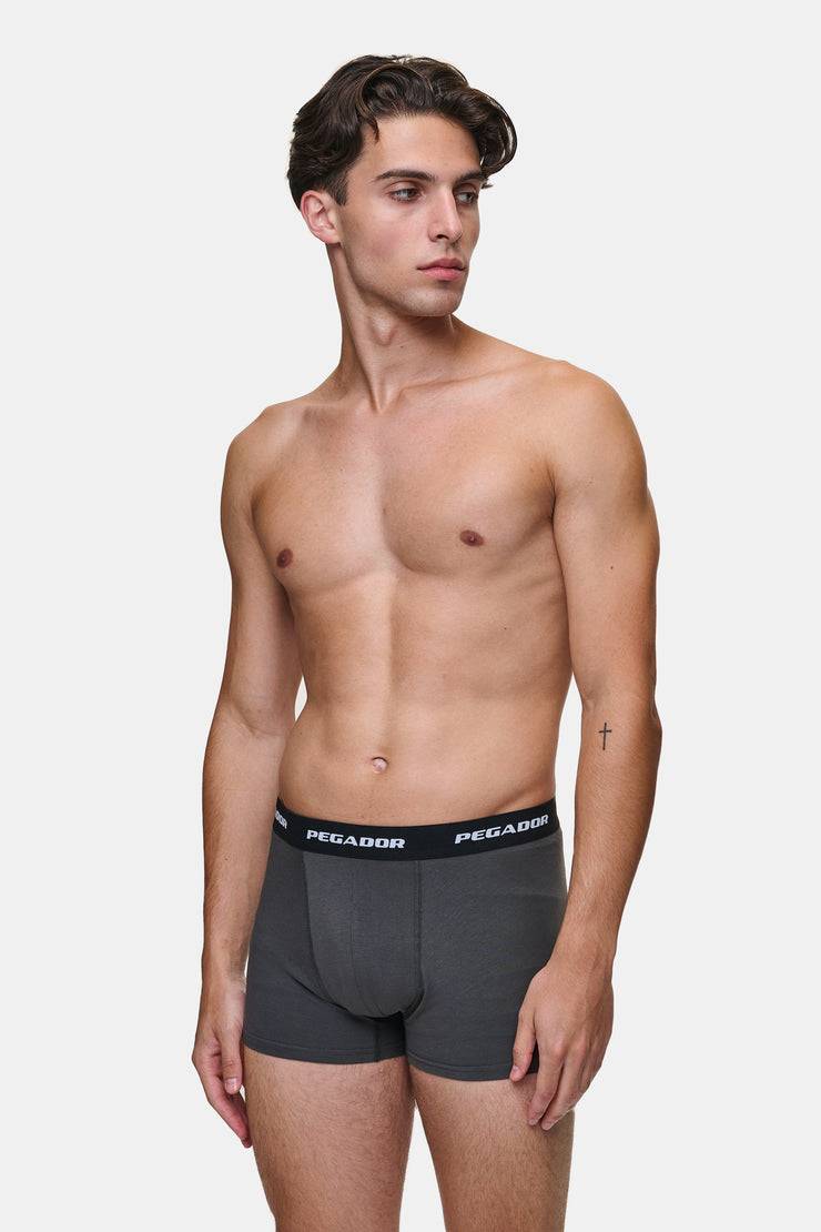 Pegador Tantun Boxershorts 3 Pack Grey Melange Black Anthracite Verkauf
