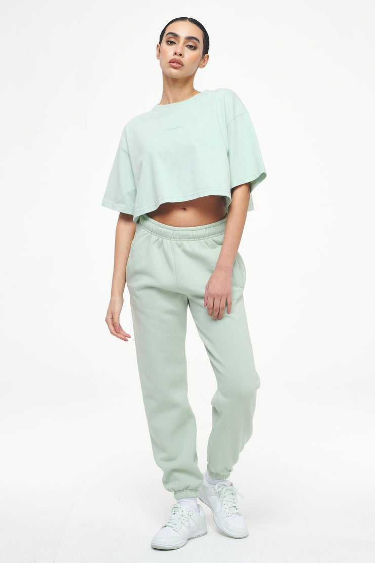 Pegador Layla Oversized Cropped Tee Vintage Washed Milky Green Gum Großer Ausverkauf