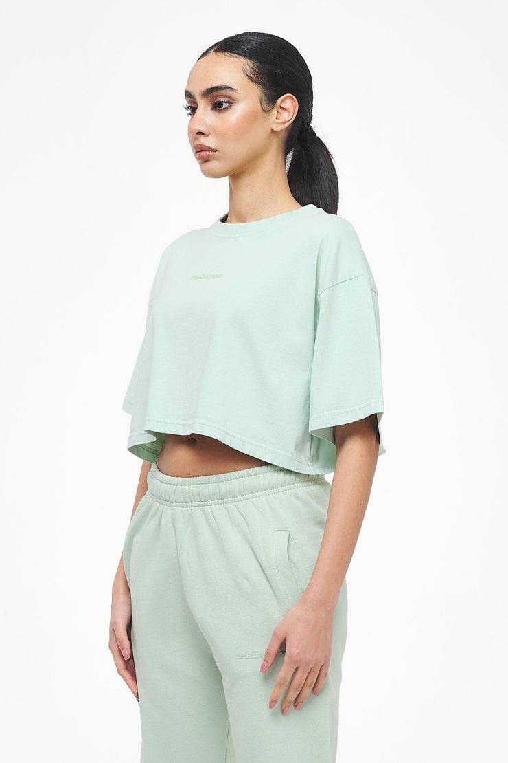 Pegador Layla Oversized Cropped Tee Vintage Washed Milky Green Gum Großer Ausverkauf