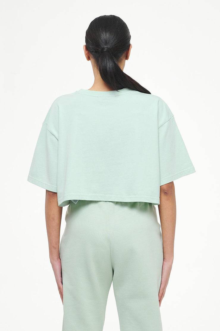 Pegador Layla Oversized Cropped Tee Vintage Washed Milky Green Gum Großer Ausverkauf